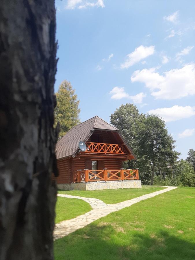 兹拉蒂博尔Brvnare Park Borova别墅 外观 照片